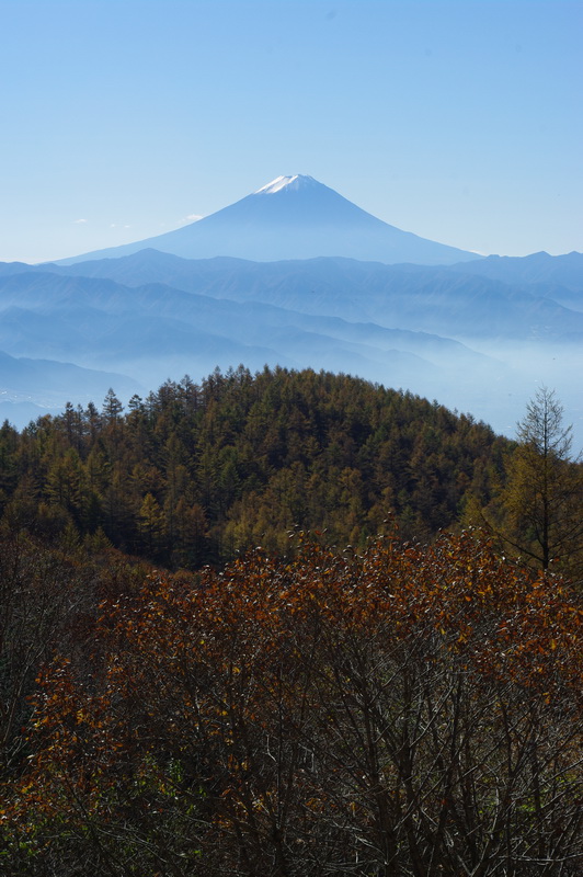 �g���b�L���O/�o�R