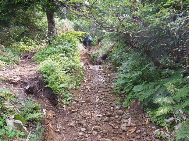 岩手山登山、網張コース